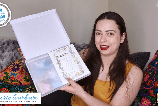 Alicia reviews Elia Boutique The Elia lingerie subscription box for fuller cups